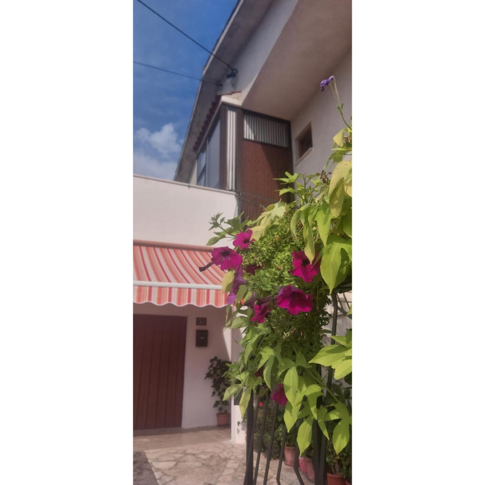 Apartman Dino Roc Exterior photo